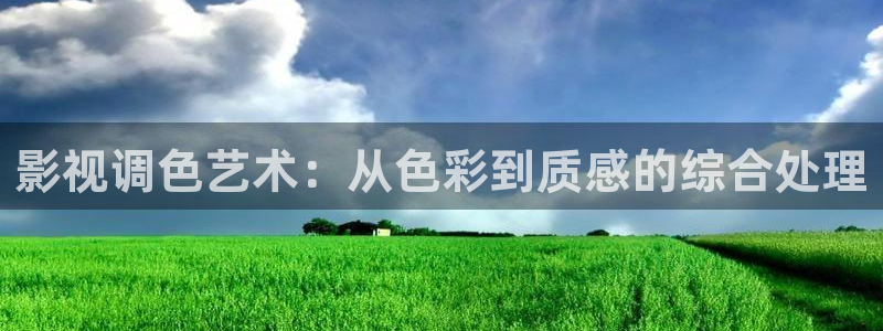 日本理论视频在线观看