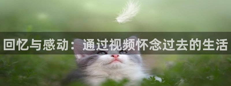 97理论影院：回忆与感动：通过视频怀念过去的生活