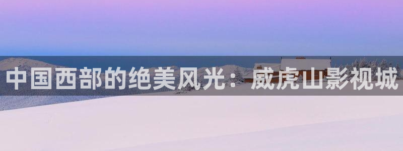 理论性理论电影