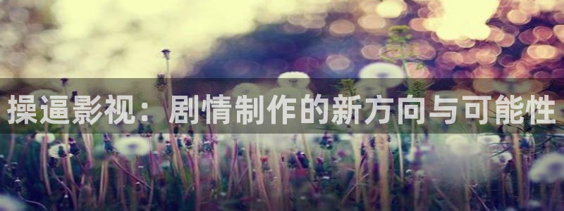 理论电影在线高清