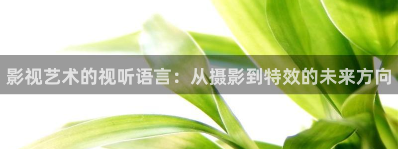 台湾理论大片