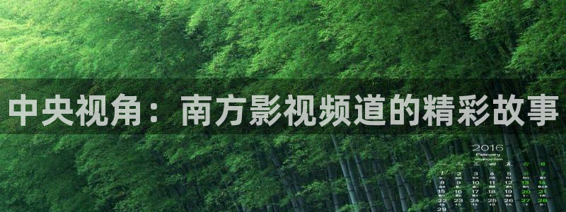 手机在线电影理论