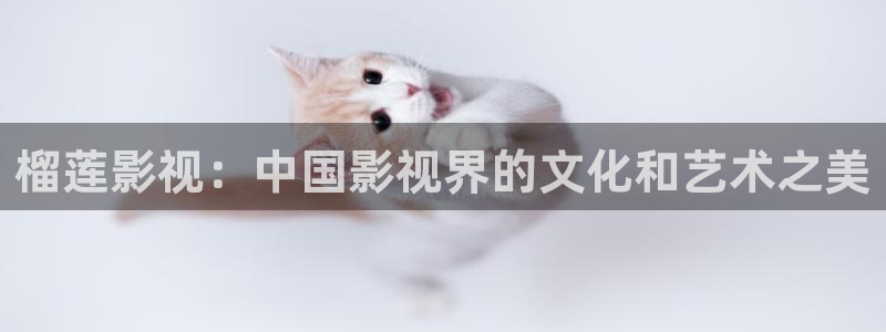 理论理电影天堂