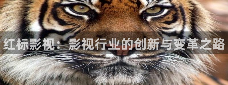 韩国理论大片三级