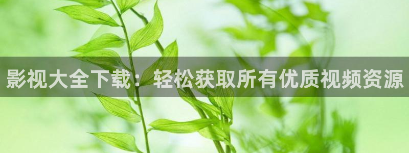 新光棍理论电影