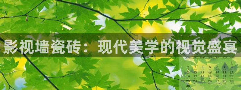 2024韩国理论电影在线观看